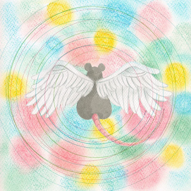 ab67616d0000aa54007643c51559ca46b4f43649